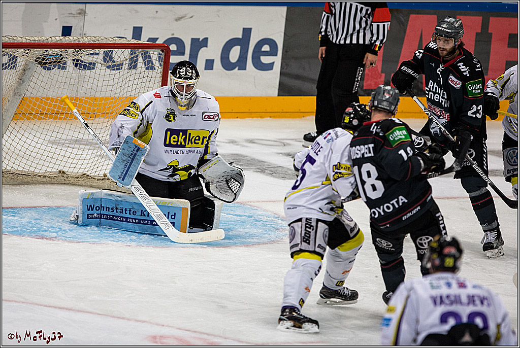 Koelner Haie - Krefelder Pinguine, 22.11.2016